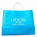 Color Printed Paper Shopping Carrier Bag